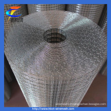 Stainless Steel Welded Wire Mesh (CT-3)